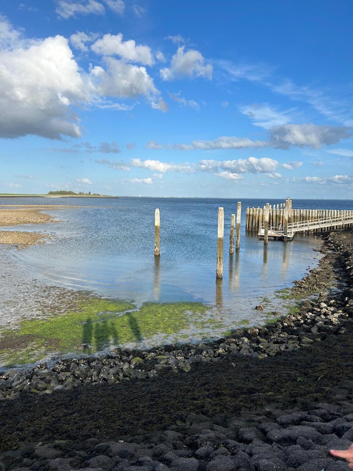 Oosterschelde Lodge Met Veel Privacy En Dicht Bij Het Water Scherpenisse Ngoại thất bức ảnh