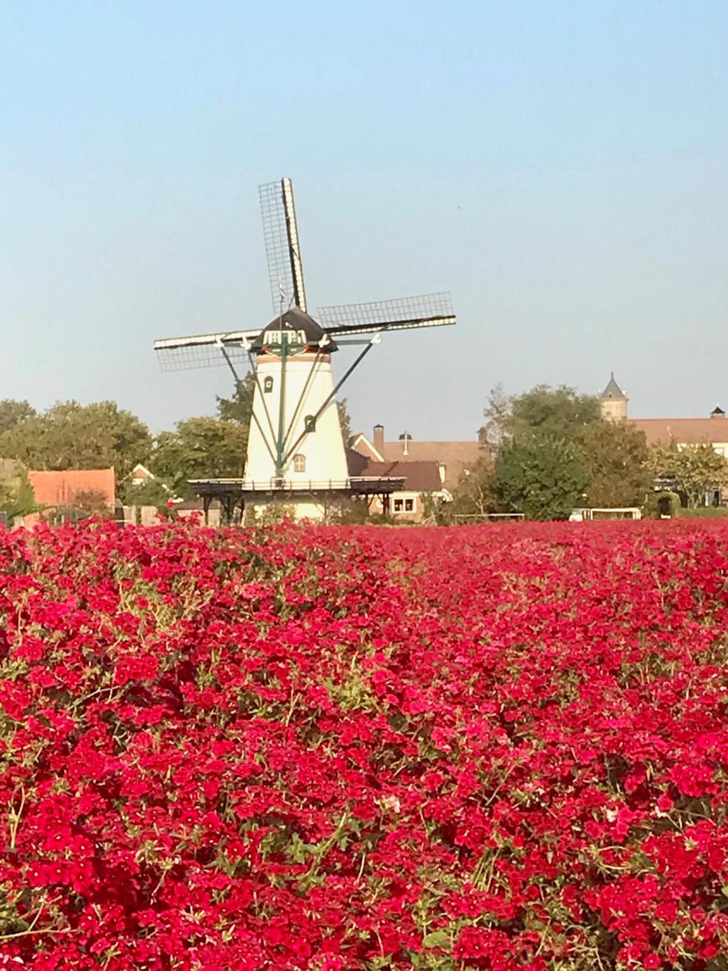Oosterschelde Lodge Met Veel Privacy En Dicht Bij Het Water Scherpenisse Ngoại thất bức ảnh